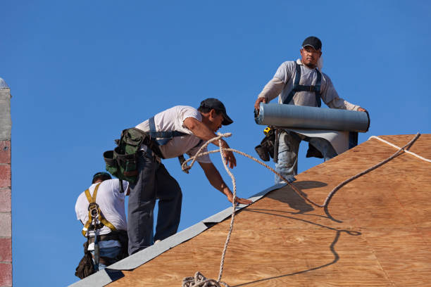 Best Roof Gutter Cleaning  in South Houston, TX