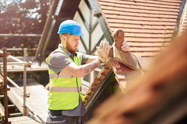 Best Roof Gutter Cleaning  in South Houston, TX